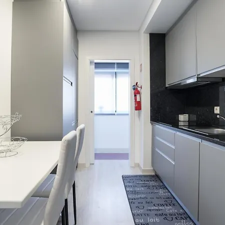 Metropolitan Gaia-porto Daire *